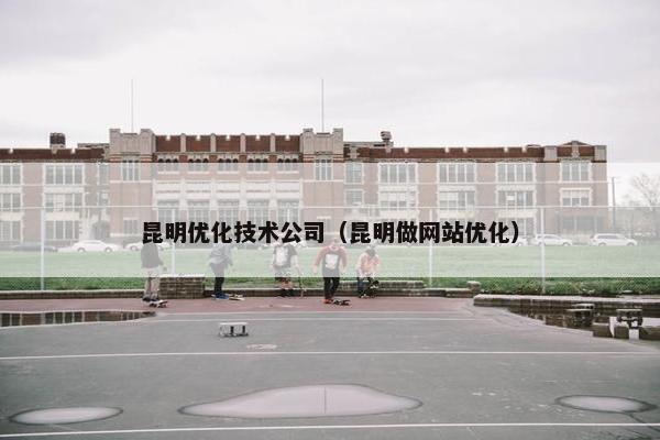 昆明优化技术公司（昆明做网站优化）