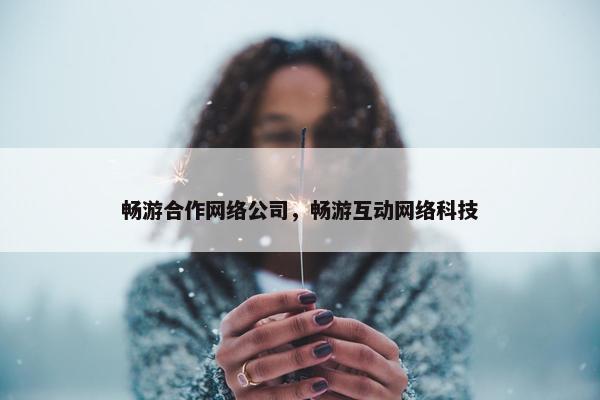 畅游合作网络公司，畅游互动网络科技