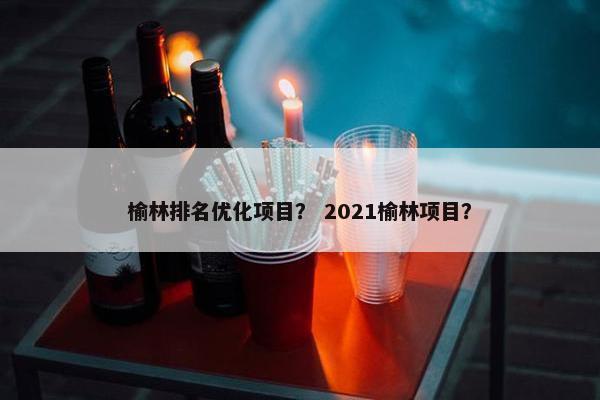 榆林排名优化项目？ 2021榆林项目？