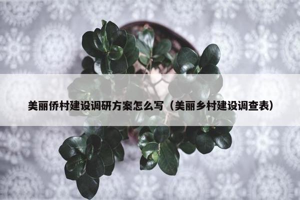 美丽侨村建设调研方案怎么写（美丽乡村建设调查表）