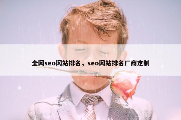 全网seo网站排名，seo网站排名厂商定制
