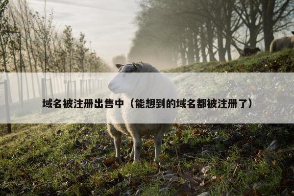 域名被注册出售中（能想到的域名都被注册了）