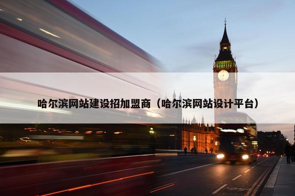 哈尔滨网站建设招加盟商（哈尔滨网站设计平台）