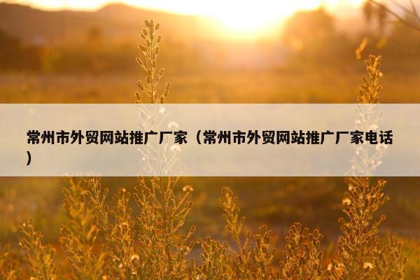 常州市外贸网站推广厂家（常州市外贸网站推广厂家电话）