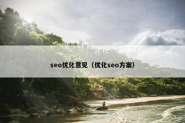 seo优化意见（优化seo方案）