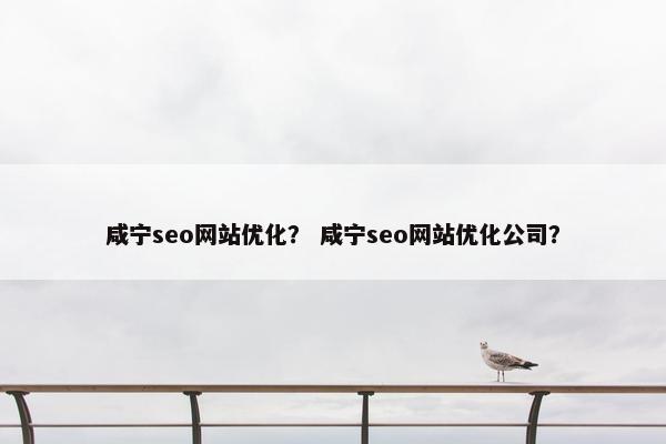 咸宁seo网站优化？ 咸宁seo网站优化公司？