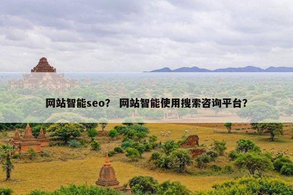 网站智能seo？ 网站智能使用搜索咨询平台？