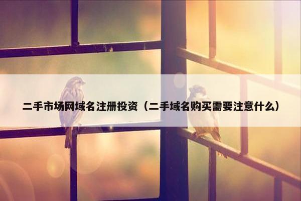 二手市场网域名注册投资（二手域名购买需要注意什么）