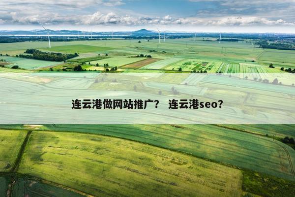 连云港做网站推广？ 连云港seo？