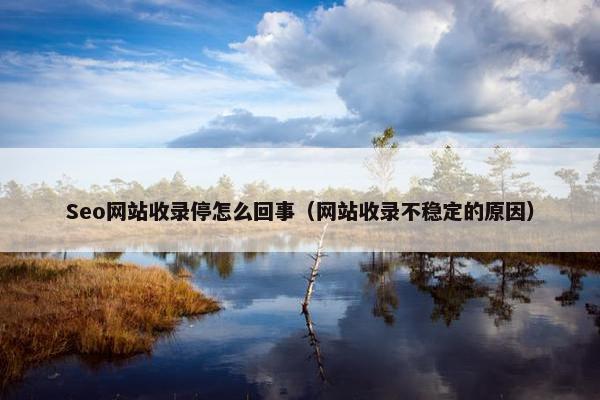 Seo网站收录停怎么回事（网站收录不稳定的原因）
