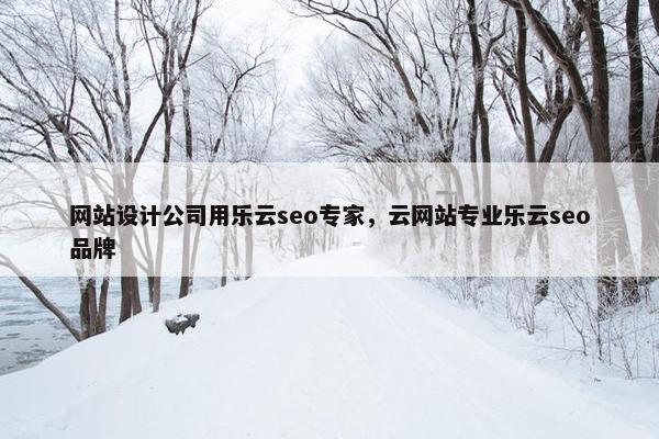网站设计公司用乐云seo专家，云网站专业乐云seo品牌