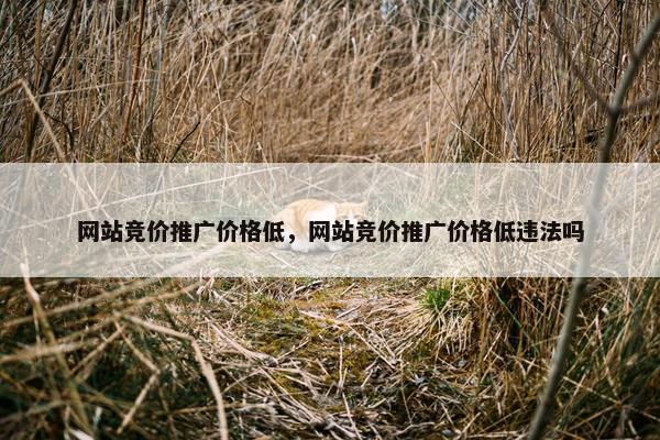 网站竞价推广价格低，网站竞价推广价格低违法吗