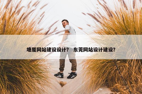 塘厦网站建设设计？ 东莞网站设计建设？