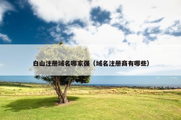 白山注册域名哪家强（域名注册商有哪些）