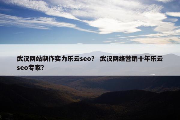 武汉网站制作实力乐云seo？ 武汉网络营销十年乐云seo专家？