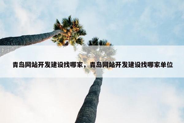 青岛网站开发建设找哪家，青岛网站开发建设找哪家单位