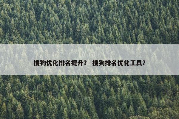 搜狗优化排名提升？ 搜狗排名优化工具？