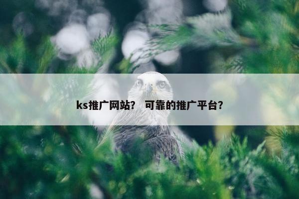 ks推广网站？ 可靠的推广平台？