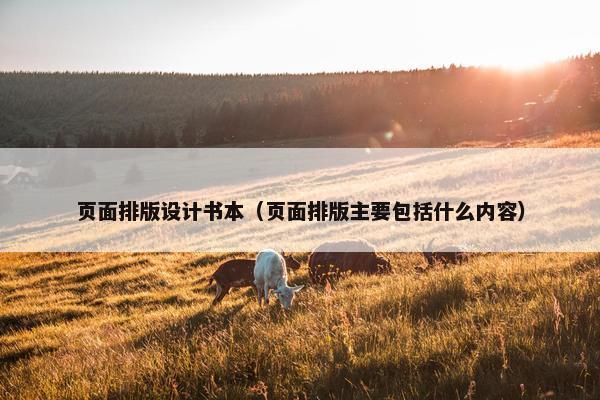页面排版设计书本（页面排版主要包括什么内容）