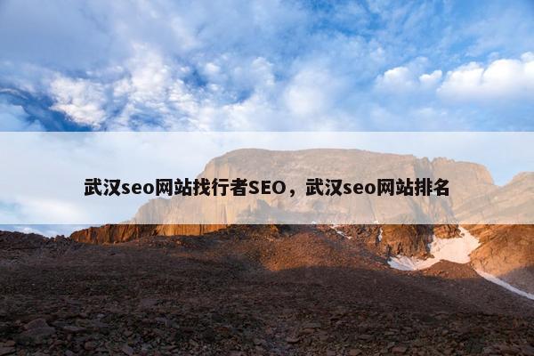 武汉seo网站找行者SEO，武汉seo网站排名