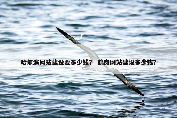 哈尔滨网站建设要多少钱？ 鹤岗网站建设多少钱？