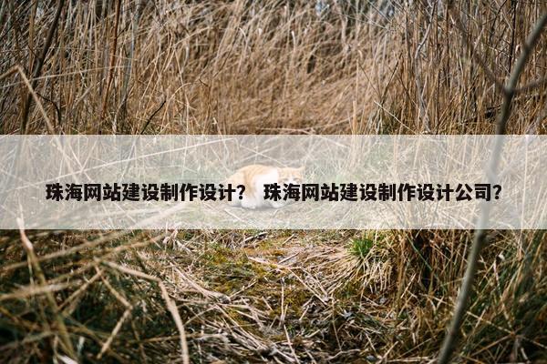 珠海网站建设制作设计？ 珠海网站建设制作设计公司？