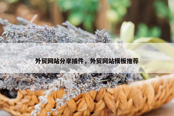 外贸网站分享插件，外贸网站模板推荐