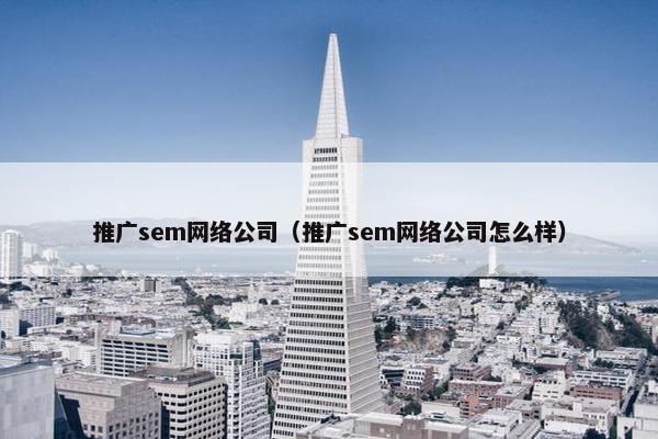 推广sem网络公司（推广sem网络公司怎么样）
