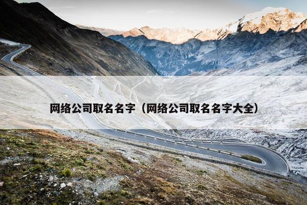 网络公司取名名字（网络公司取名名字大全）