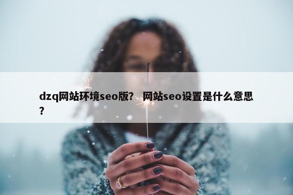 dzq网站环境seo版？ 网站seo设置是什么意思？