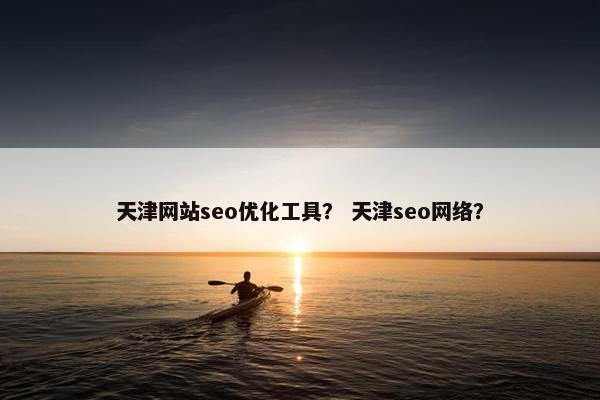 天津网站seo优化工具？ 天津seo网络？