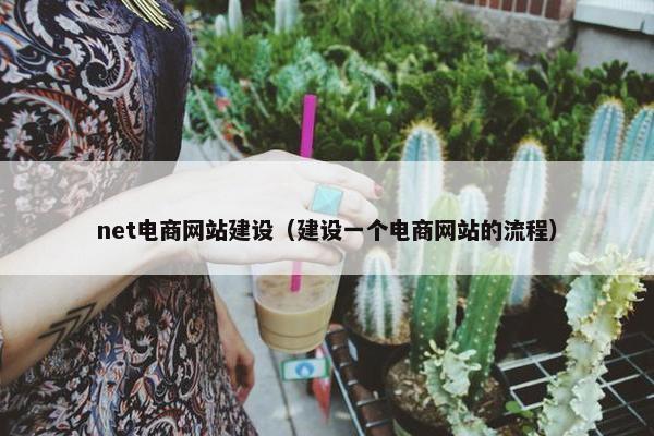 net电商网站建设（建设一个电商网站的流程）