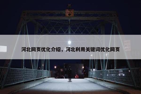 河北网页优化介绍，河北利用关键词优化网页
