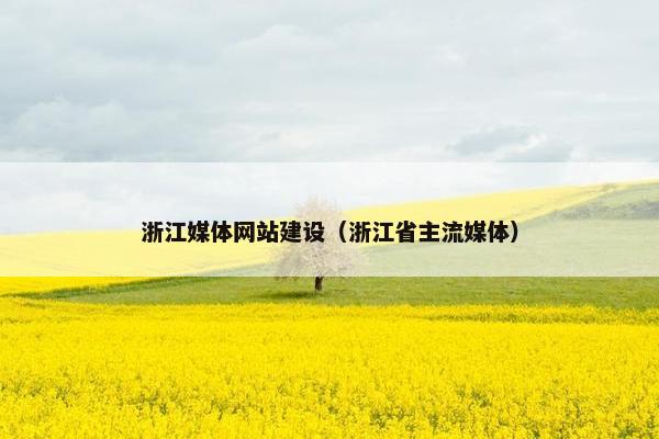 浙江媒体网站建设（浙江省主流媒体）