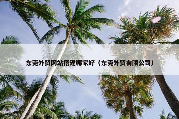 东莞外贸网站搭建哪家好（东莞外贸有限公司）