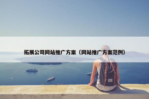 拓展公司网站推广方案（网站推广方案范例）