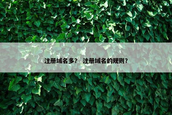 注册域名多？ 注册域名的规则？