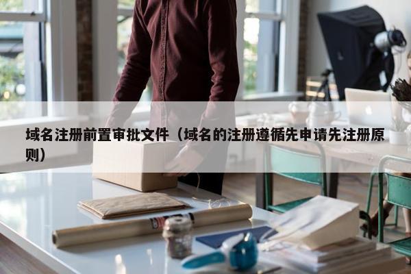 域名注册前置审批文件（域名的注册遵循先申请先注册原则）