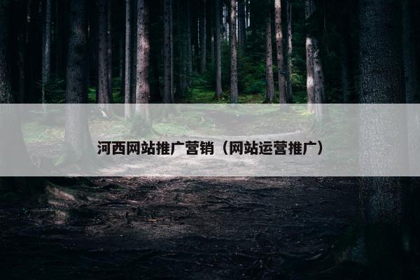 河西网站推广营销（网站运营推广）