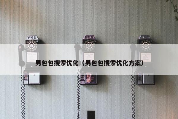男包包搜索优化（男包包搜索优化方案）