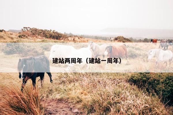 建站两周年（建站一周年）