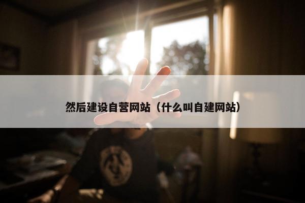 然后建设自营网站（什么叫自建网站）