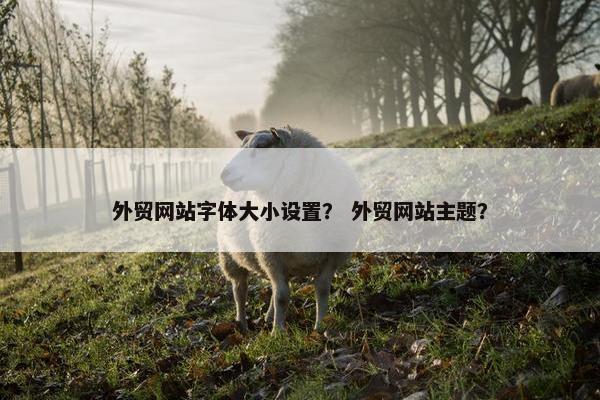 外贸网站字体大小设置？ 外贸网站主题？
