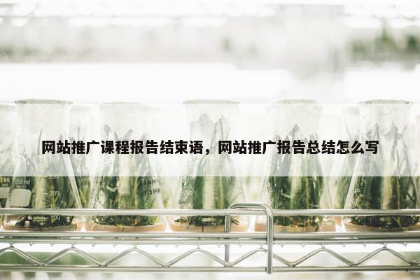 网站推广课程报告结束语，网站推广报告总结怎么写