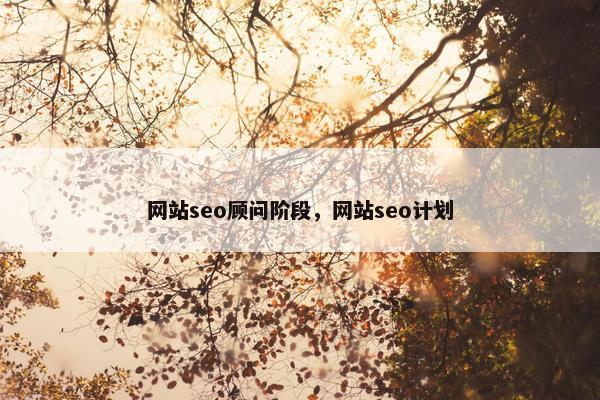 网站seo顾问阶段，网站seo计划